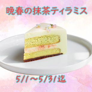 晩春の抹茶ティラミス